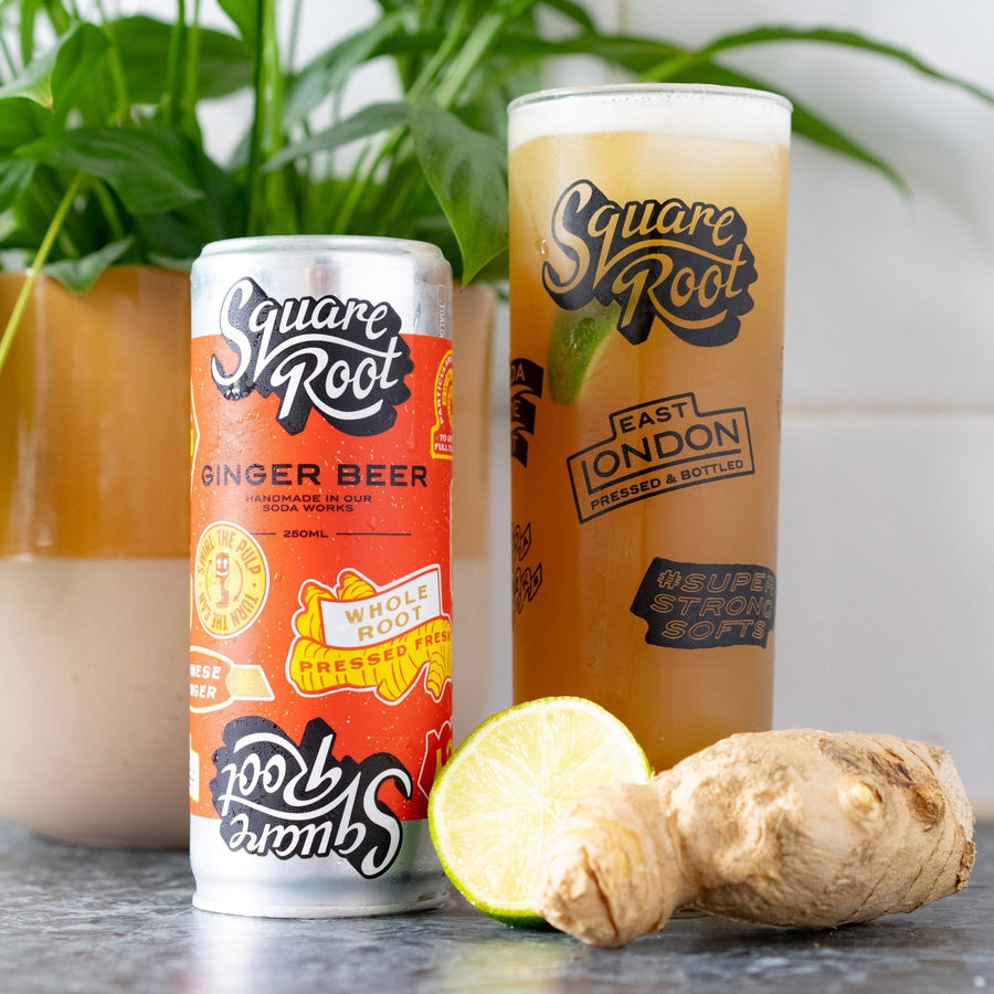 12 Pack of Ginger Beer Cans - Square Root Soda