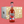 Load image into Gallery viewer, 12 Pack of Cola - Square Root Soda
