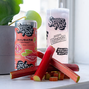 12 Pack of Rhubarb Soda Cans - Square Root Soda