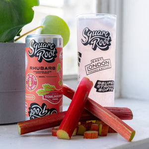 Rhubarb Can - Square Root Soda